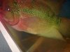 23012011279.jpg