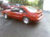 Stang3.jpg