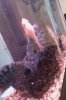 IMAG0739.jpg