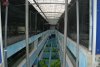 DSC_0574.jpg