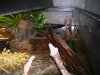 DSCN7313.JPG