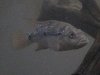 DSC00544.JPG