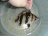 DSC04783.JPG