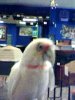 snapshot20061215181139.jpg