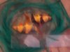 clown loach pix 004.JPG
