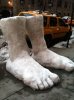 TwoFeetOfSnow.jpg
