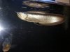 fish big 011.jpg