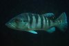 DSC_0171.JPG