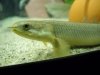 DSCN1328.JPG