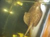 100_0243.JPG