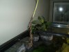 120G 05.JPG 120G 05.JPG