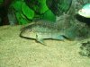 120G 10.JPG 120G 10.JPG