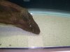 sand3.JPG