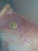 Image008[1].jpeg