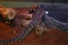 carpet python 043.jpg