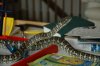 carpet python 039.jpg