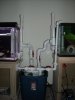 DSCN0002.JPG DSCN0002.JPG