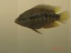 DSC02874.JPG