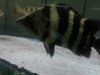 IMG00487-20110212-1204.jpg
