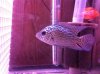 IMG_1657.JPG