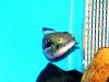 100_3688.JPG