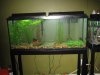 new tank 001.jpg