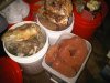 IMG01072-20110107-2222.jpg