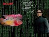matrix.jpg