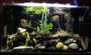 50gal-tank.jpg