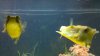 2011-02-12_19-18-47_531.jpg 2011-02-12_19-18-47_531.jpg
