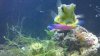 2011-02-12_19-18-20_781.jpg 2011-02-12_19-18-20_781.jpg