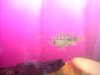 DSCN3396.JPG
