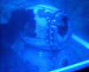 DSCN3451.gif