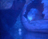 DSCN3453 (1).gif