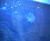 DSCN3423.gif