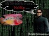 matrix2.jpg