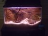 10G 02.JPG