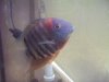 100_3743.JPG