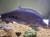 100_3741.JPG