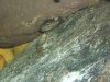 100_0240.JPG