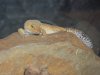 100_0175.JPG
