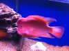 IMG_2245.JPG