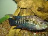 DSC04776.JPG