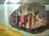 DSC04804.JPG