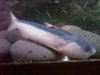 0_IMG00338-20110225-1702.jpg