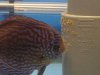 000_3383.jpg