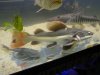 DSC00354.JPG
