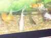 100_1479.jpg