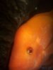 100_2430.jpg