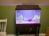 2011-03-10_06-37-41_479.jpg